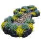 Natte Vijverrand Planten 8-12m2